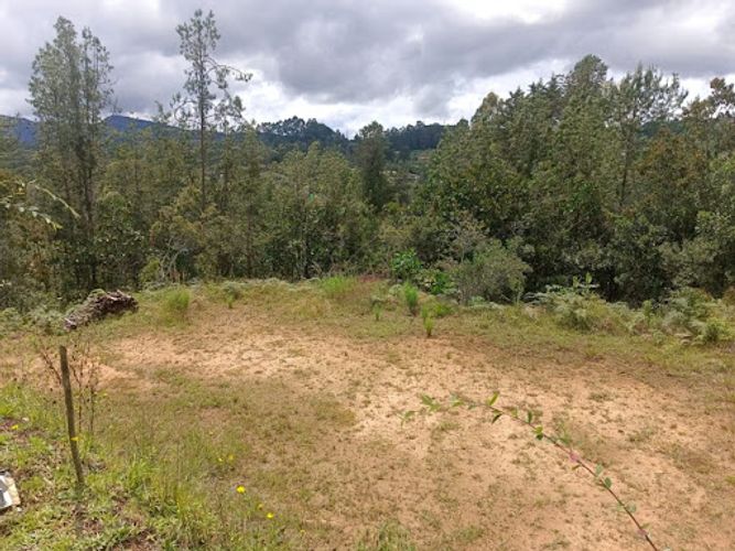 Lote en venta en Pantanillo, El Retiro, 1348 m² · foto 6 de 10