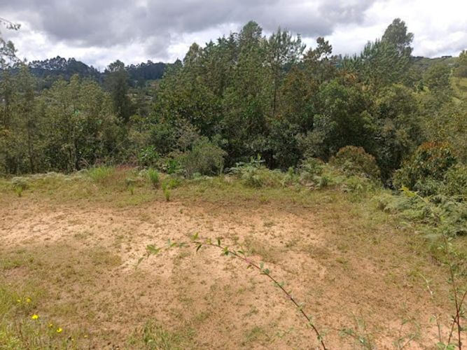Lote en venta en Pantanillo, El Retiro, 1348 m² · foto 10 de 10