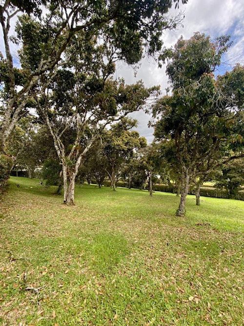 Lote en venta en Llano Grande, Rionegro, 3400 m² · foto 2 de 10