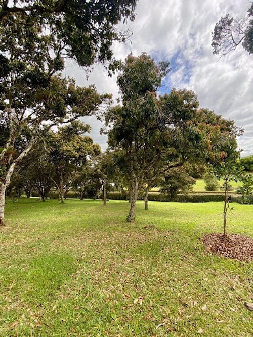 Lote en venta en Llano Grande, Rionegro, 3400 m² · foto 3 de 10