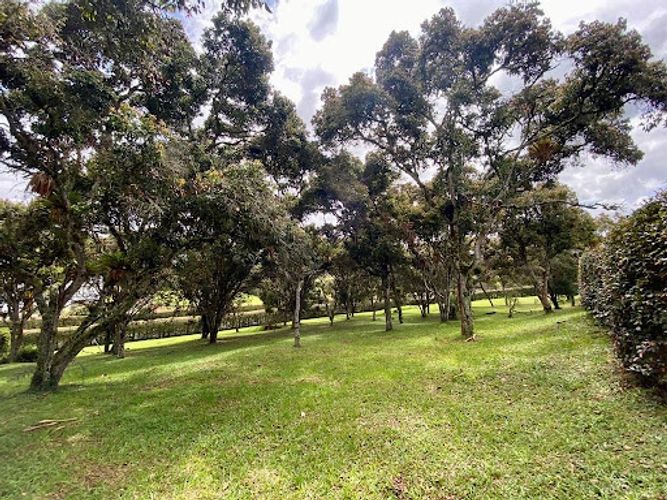 Lote en venta en Llano Grande, Rionegro, 3400 m² · foto 4 de 10