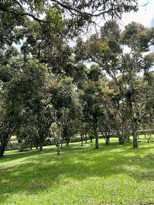 Lote en venta en Llano Grande, Rionegro, 3400 m² · foto 6 de 10