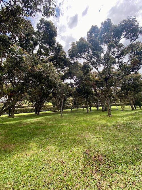 Lote en venta en Llano Grande, Rionegro, 3400 m² · foto 7 de 10