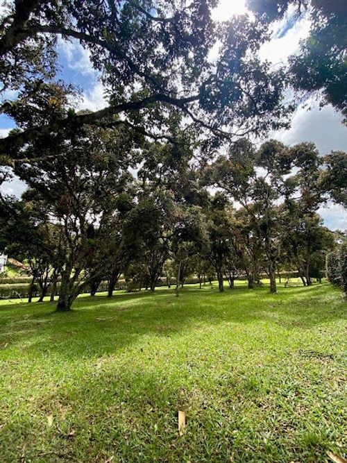 Lote en venta en Llano Grande, Rionegro, 3400 m² · foto 9 de 10