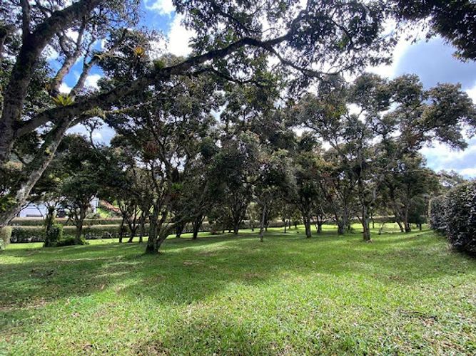 Lote en venta en Llano Grande, Rionegro, 3400 m² · foto 10 de 10