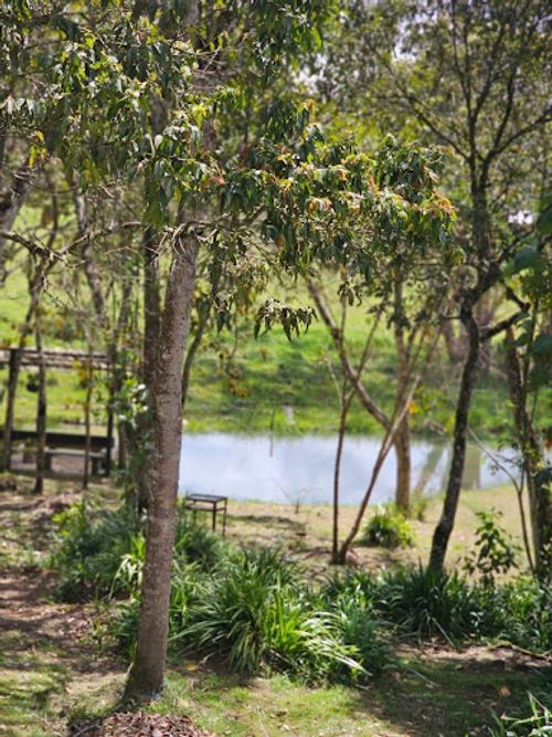 Finca en arriendo en El Capiro, Rionegro, 400 m² · foto 13 de 16