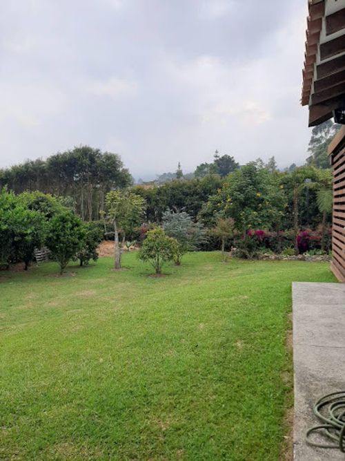 Apartaestudio en arriendo en Lomitas, La Ceja, 40 m² · foto 12 de 13