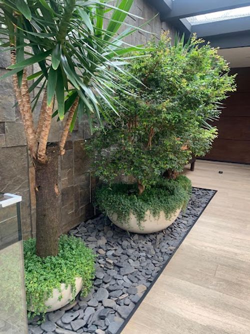 Casa de 4 alcobas en venta en Las Palmas, Envigado, 2000 m² · foto 4 de 7