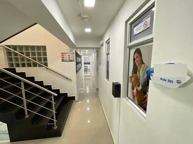 Local en arriendo en Prado, Medellín, 600 m² · foto 6 de 24
