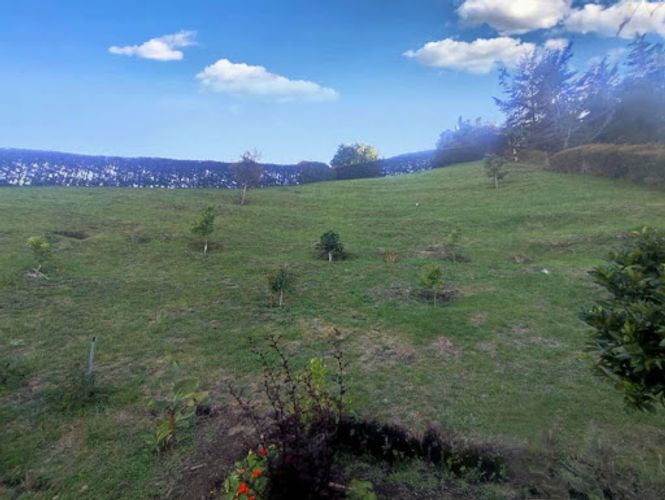 Casa de 3 alcobas en venta en El Chuscal, El Retiro, 90 m² · foto 17 de 20