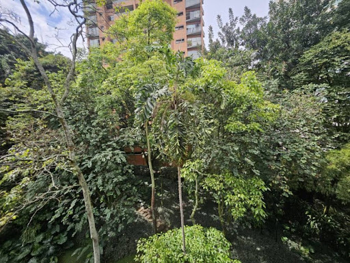 Apartamento en arriendo en La Tomatera, Medellín · foto 6 de 24