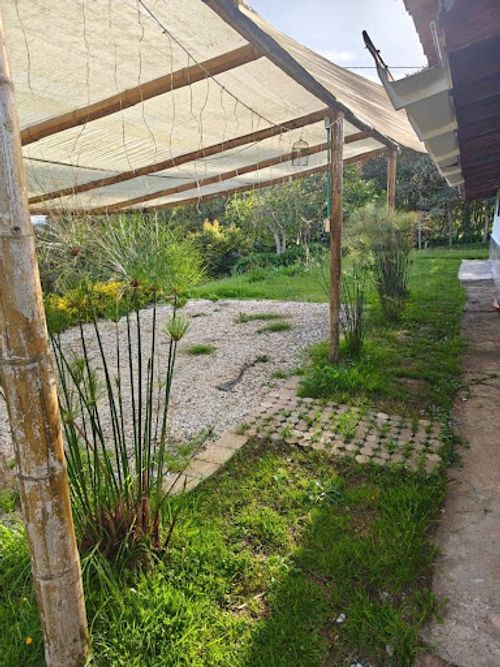 Finca en arriendo en Pantanillo, Envigado, 130 m² · foto 6 de 9