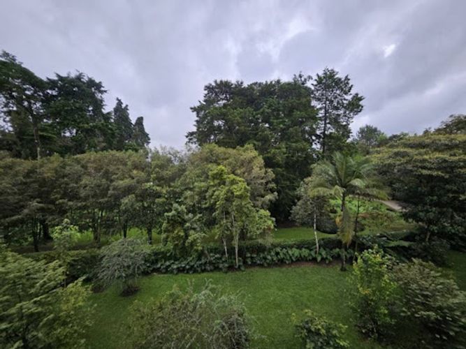 Apartamento de 3 alcobas en arriendo en Llano Grande, Rionegro, 320 m² · foto 6 de 24