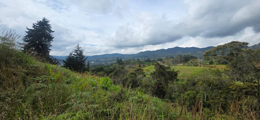 Land in El porvenir (2774 m²) for Sale - 2