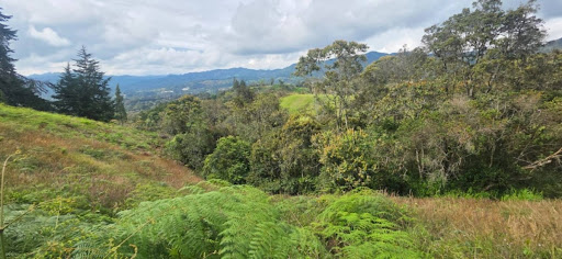 Land in El porvenir (2774 m²) for Sale - 4