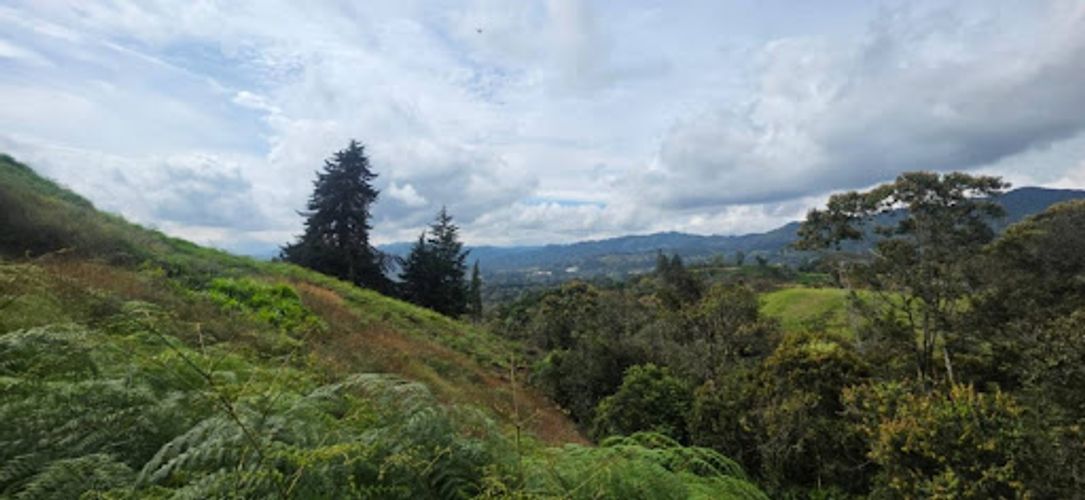 Lote en venta en El Porvenir, Rionegro, 2774 m² · foto 5 de 11