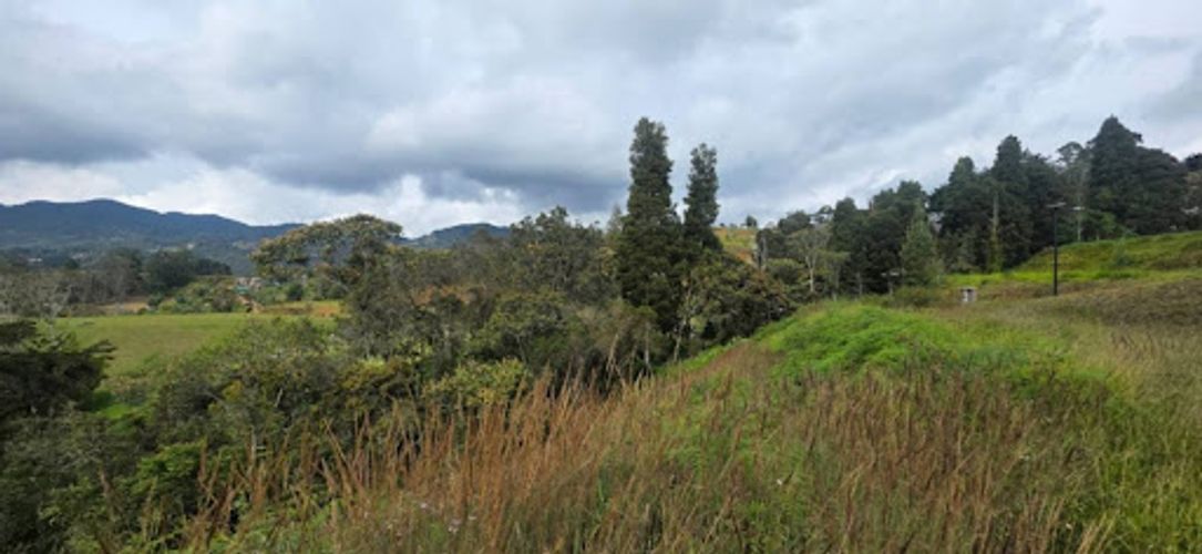 Lote en venta en El Porvenir, Rionegro, 2774 m² · foto 11 de 11