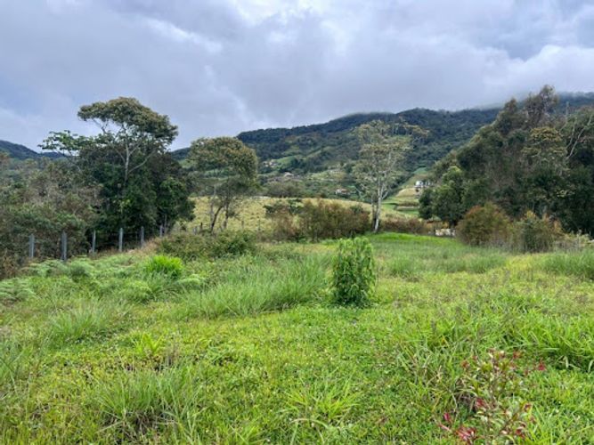 Lote en venta en El Carmen De Viboral, El Carmen de Viboral, 1500 m² · foto 5 de 5