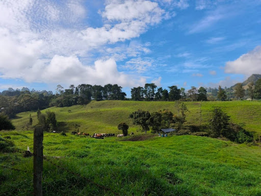 Lote en Venta en Rionegro - 2