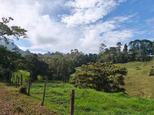 Lote en Venta en Rionegro - 3