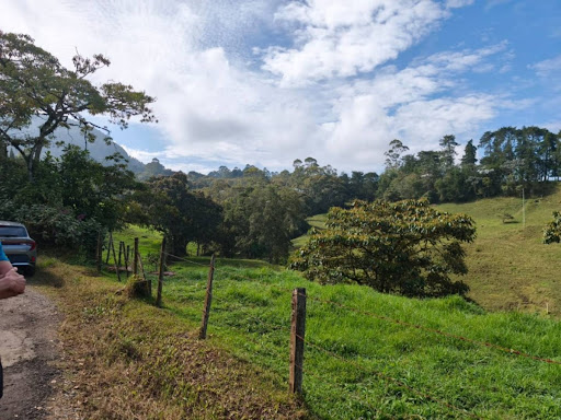 Lote en Venta en Rionegro - 4