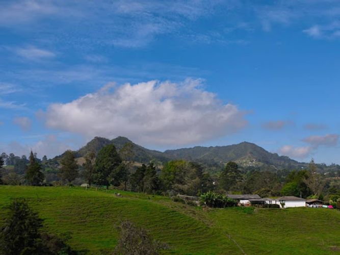 Lote en venta en Pontezuela, Rionegro, 44000 m² · foto 5 de 9