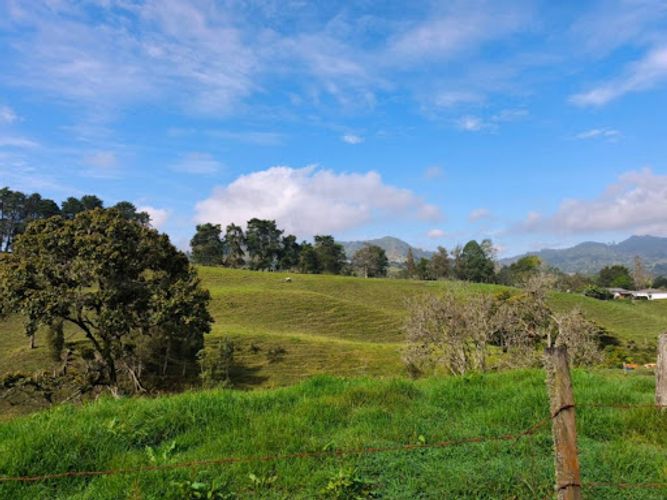 Lote en venta en Pontezuela, Rionegro, 44000 m² · foto 6 de 9