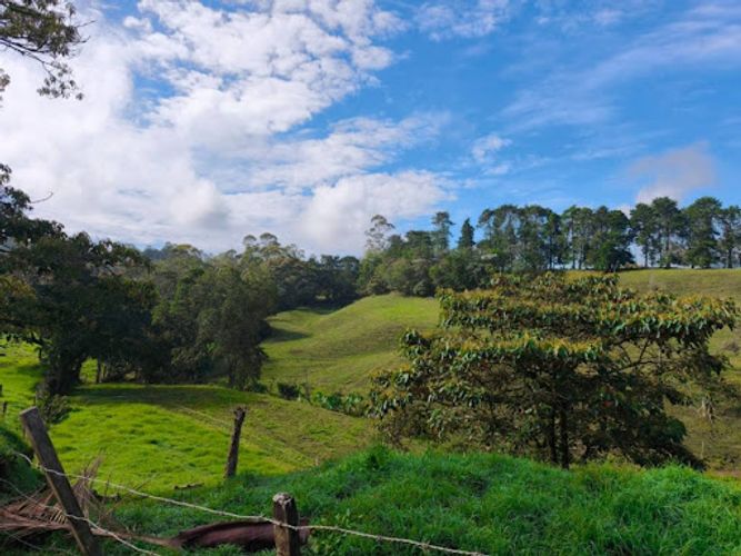 Lote en venta en Pontezuela, Rionegro, 44000 m² · foto 8 de 9