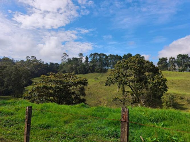 Lote en venta en Pontezuela, Rionegro, 44000 m² · foto 9 de 9
