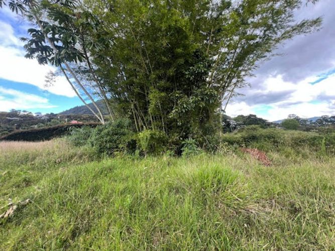 Lote en venta en Llano Grande, Rionegro, 2501 m² · foto 6 de 10