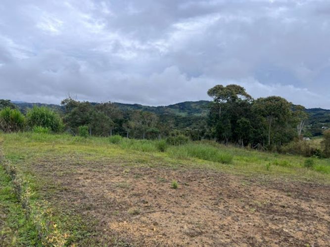 Lote en venta en El Carmen De Viboral, El Carmen de Viboral, 1500 m² · foto 3 de 5