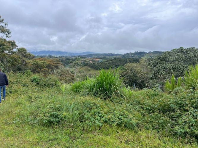 Lote en venta en El Carmen De Viboral, El Carmen de Viboral, 1500 m² · foto 4 de 5