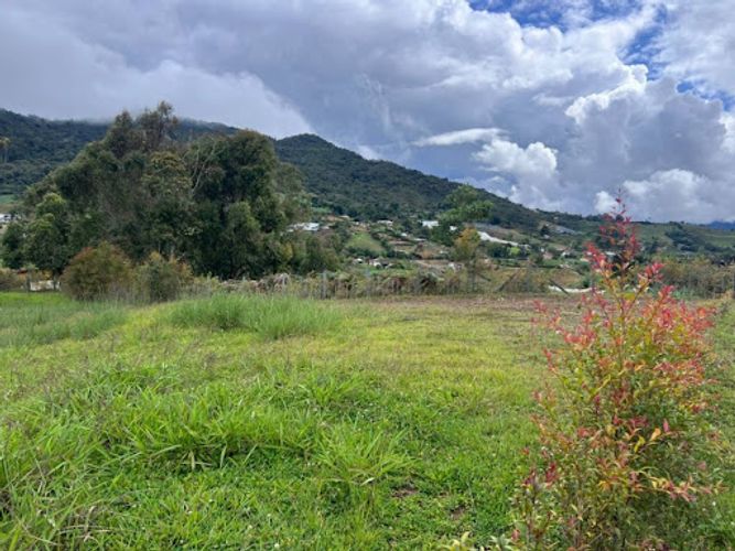 Lote en venta en El Carmen De Viboral, El Carmen de Viboral, 1500 m² · foto 5 de 5