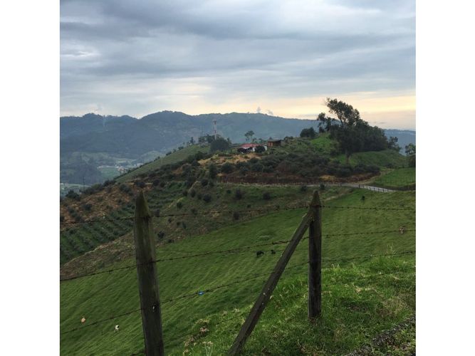 Lote en venta en San Marcel, Manizales · foto 2 de 24