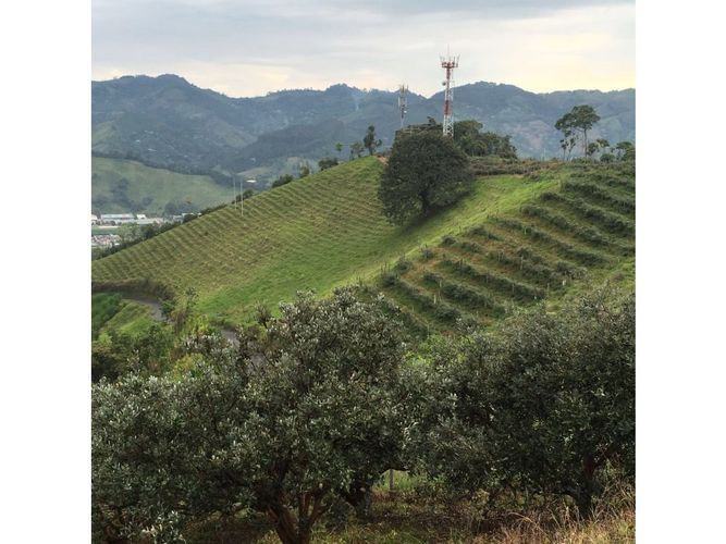 Lote en venta en San Marcel, Manizales · foto 3 de 24