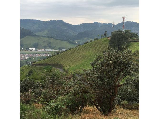 Lote en venta en San Marcel, Manizales · foto 5 de 24
