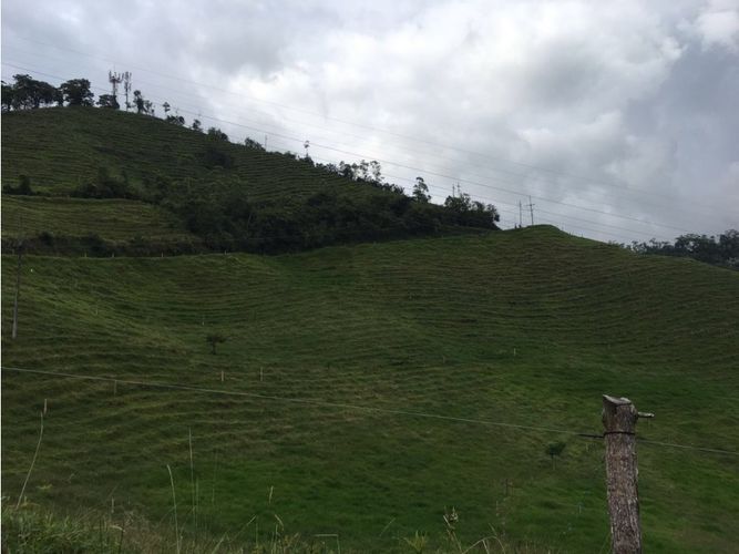 Lote en venta en San Marcel, Manizales · foto 15 de 24