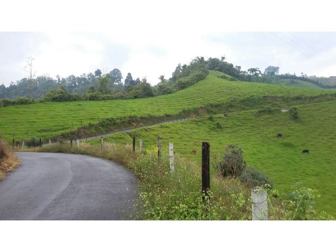 Lote en venta en San Marcel, Manizales · foto 19 de 24