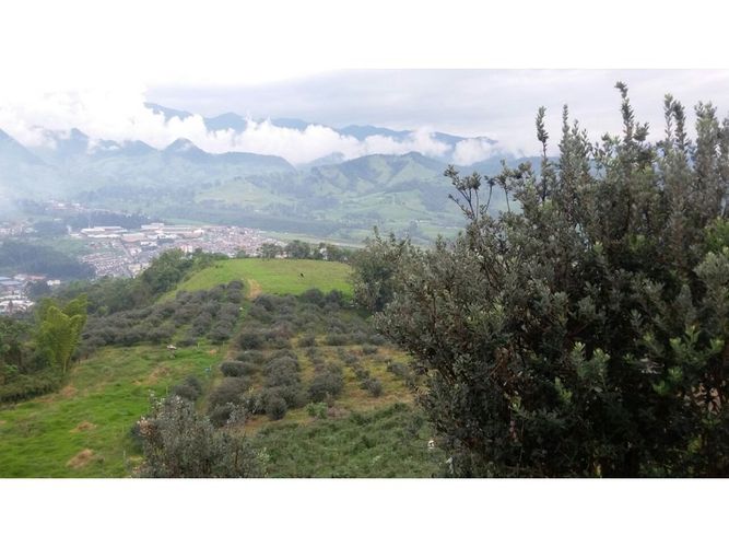 Lote en venta en San Marcel, Manizales · foto 21 de 24