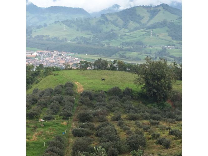 Lote en venta en San Marcel, Manizales · foto 23 de 24