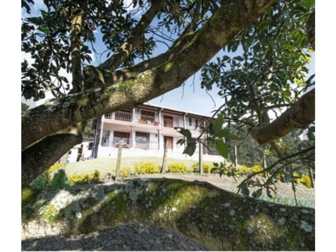 Finca en venta en El Arenillo, Manizales, 100000 m² · foto 12 de 24