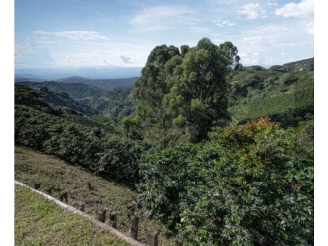 Finca en venta en El Arenillo, Manizales, 100000 m² · foto 16 de 24