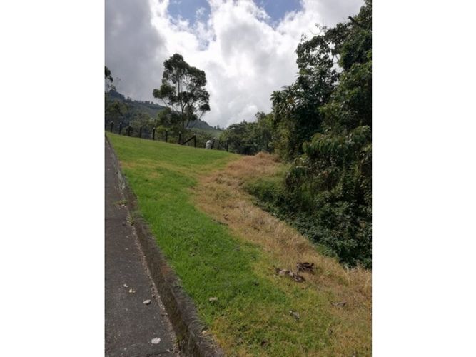 Lote en venta en El Trebol, Manizales, 17000 m² · foto 3 de 21