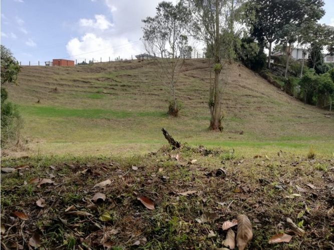 Lote en venta en El Trebol, Manizales, 17000 m² · foto 5 de 21