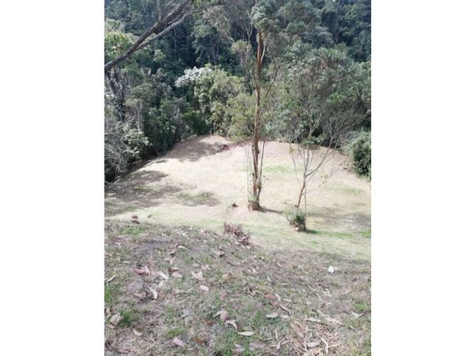Lote en venta en El Trebol, Manizales, 17000 m² · foto 6 de 21