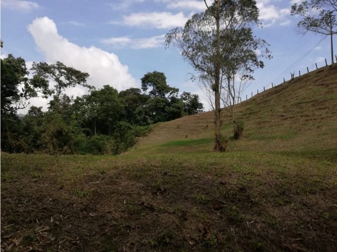 Lote en venta en El Trebol, Manizales, 17000 m² · foto 7 de 21