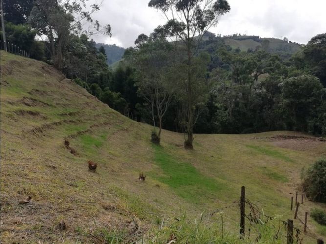Lote en venta en El Trebol, Manizales, 17000 m² · foto 8 de 21