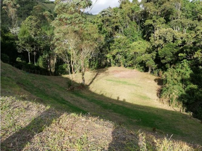 Lote en venta en El Trebol, Manizales, 17000 m² · foto 9 de 21