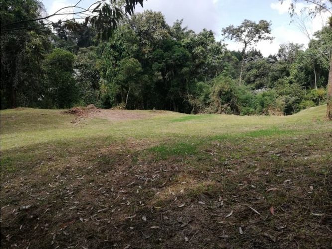 Lote en venta en El Trebol, Manizales, 17000 m² · foto 10 de 21