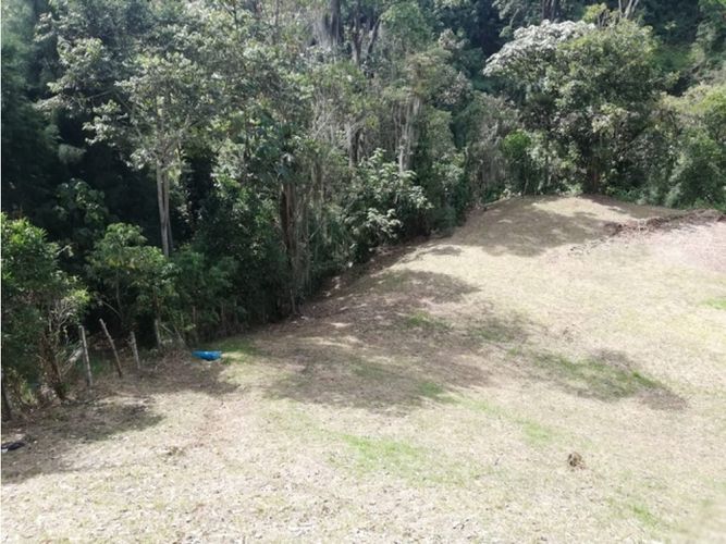 Lote en venta en El Trebol, Manizales, 17000 m² · foto 11 de 21